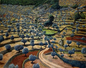 The hills of Israel Camouflage